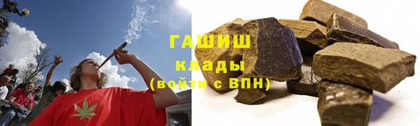 шишки Абаза