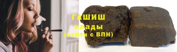 мет Алексин