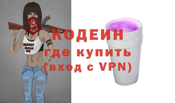 шишки Абаза