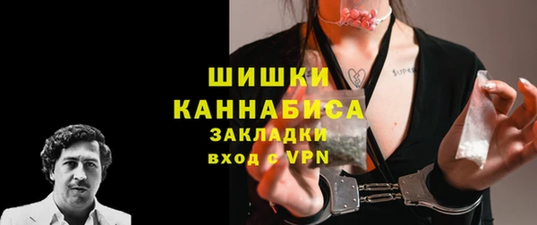 шишки Абаза