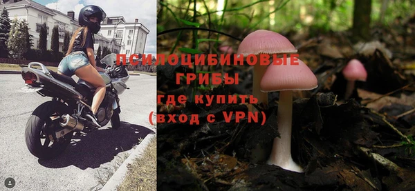 шишки Абаза