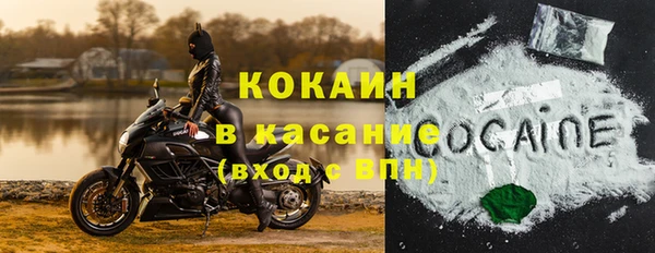 шишки Абаза