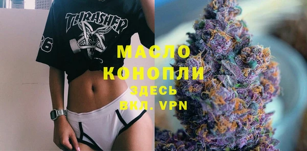 мет Алексин