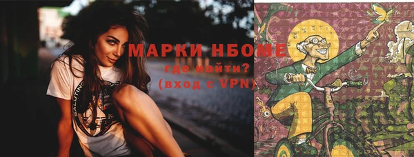 мет Алексин