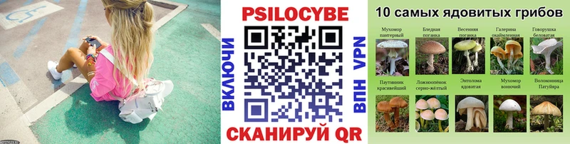 где можно купить   OMG как зайти  Галлюциногенные грибы мухоморы  Сольвычегодск 